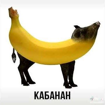 Тигриб - YouTube