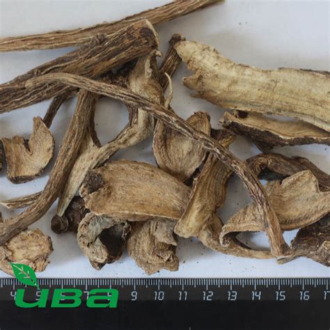 Корень девясила - купить в Москве, покупка и продажа, цены