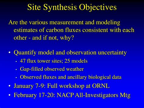 site synthesis objectives powerpoint