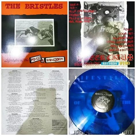 Jual VINYL PIRINGAN HITAM THE BRISTLES LIFESTYLES OF THE POOR UNKNOWN