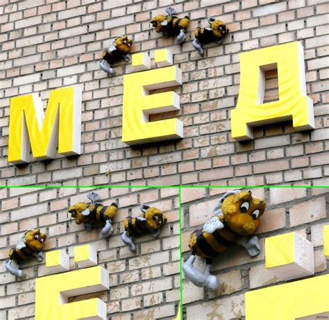 Правильные пчёлы | Пикабу