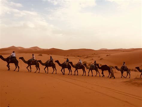 Circuit 5 Jours Agadir Merzouga Circuits Depart Agadir Le Desert