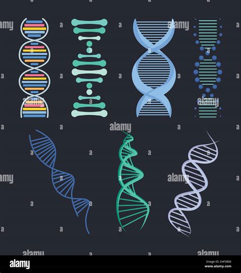 Dna Strands Icon Set Design Stock Vector Image And Art Alamy