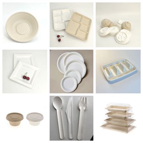 100% Compostable Paper Plates Disposable Tableware Sugarcane Bagasse ...