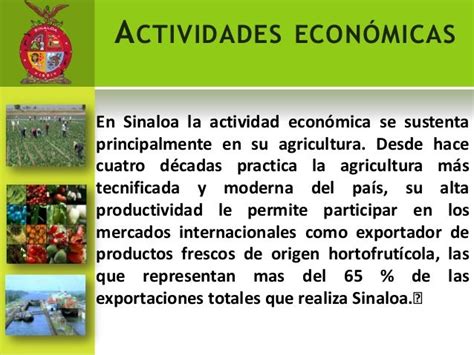 Economia Del Estado De Sinaloa