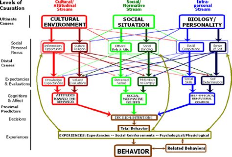 The Theory Of Triadic Influence Note Figure Adapted With Permission