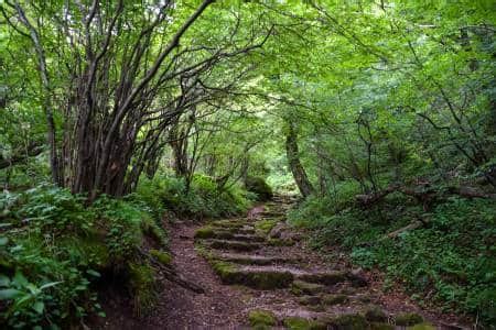 A Guide To Unzen Amakusa National Park For Hikes And Hot Springs