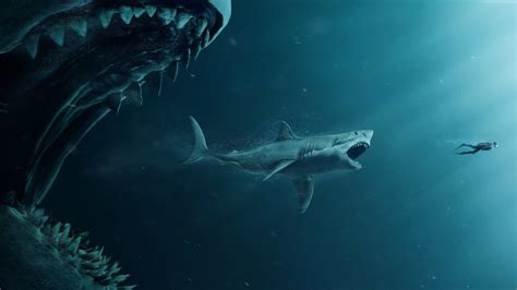 Megalodon: The Prehistoric Mega Shark That Became Extinct 2,6 Million