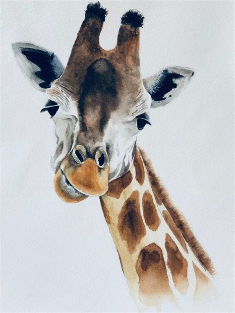 Giraffe Original Watercolour Print Etsy