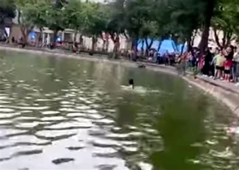 Cliphotnew Clip Hot Vi T Nam Xem Video M I Nh T H M Nay