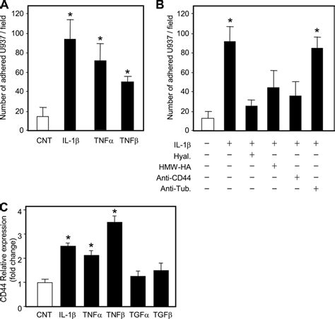 Proinflammatory Cytokine Effects On Huvec Adhesiveness A The Adhesion