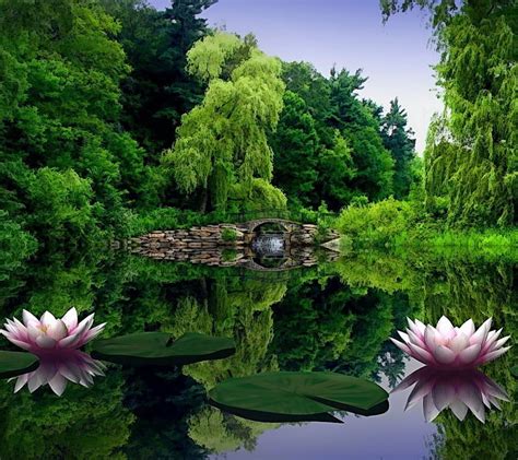 Calm Green Wallpaper