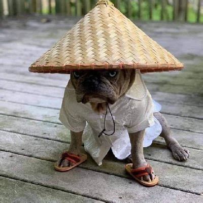 Asian Thai Porn Stars K On Twitter Nara Thai Caught Watching Porn Fucked