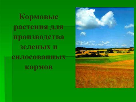 Кормовые растения для производства зеленых и силосованных кормов. Урок ...