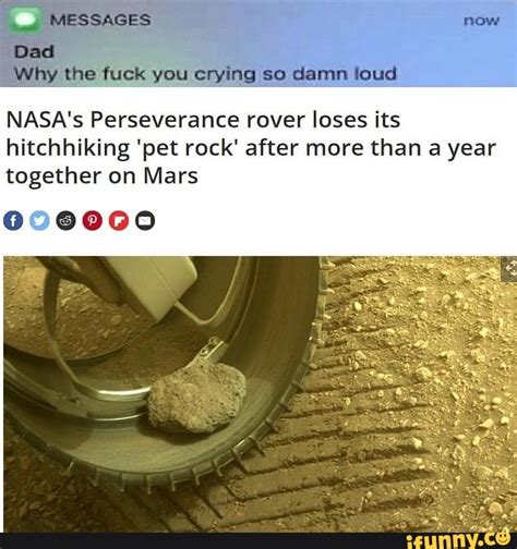 Laurabxth If The Hot Lifeguard From Lilo And Stitch Can Have Hip Dips Then So Can You Ifunny