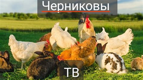 Вода подымется скоро поплывёт. - YouTube