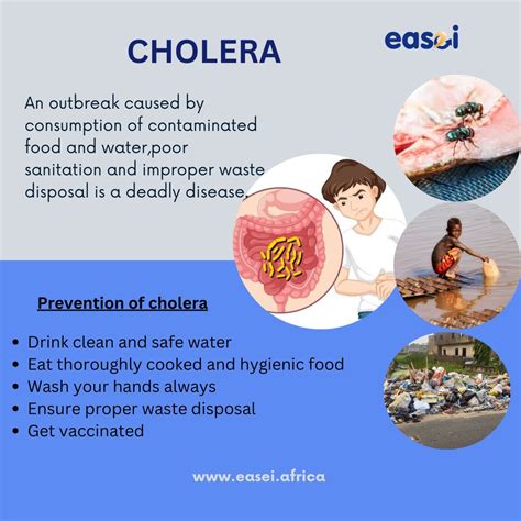 cholera outbreak  symptoms  prevention blazor