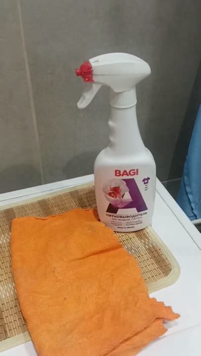 BAGI Пятновыводитель 100 видов пятен купить по низким ценам в ЛЭТУАЛЬ