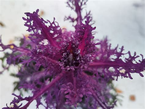 Почему я бы выбрал Xiaomi 12T Pro и Xiaomi 12T — Mobile-review.com ...