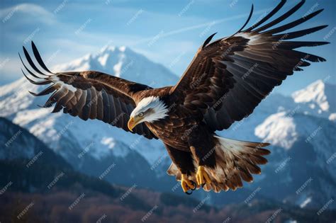 Premium Photo | Flying eagle in mountains