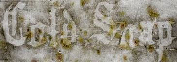 cold snap discografia   biografia entrevistas fotos