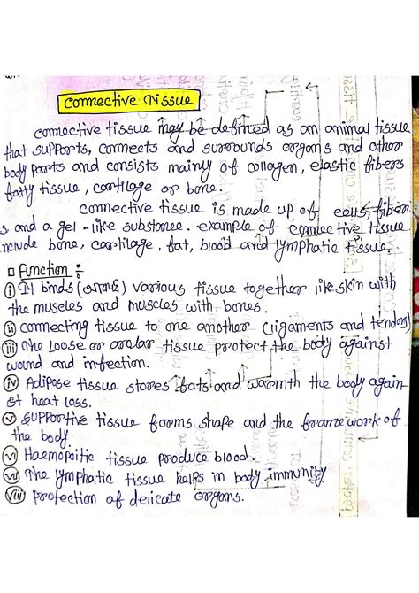SOLUTION: Connective tissue easyli - Studypool