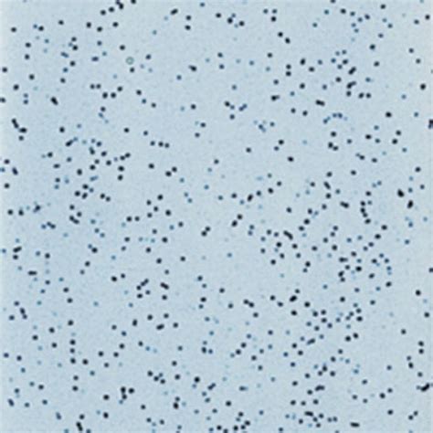 Mayco Sp 245 My Blue Heaven Speckled Stroke And Coat Glaze 8 Oz
