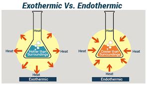 Endothermic vs. Exothermic Reactions Review | 140 plays | Quizizz