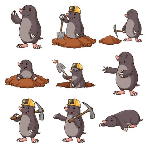 17 Mole Svg Mole Png Mole Vector Clipart Mole Graphics Mole