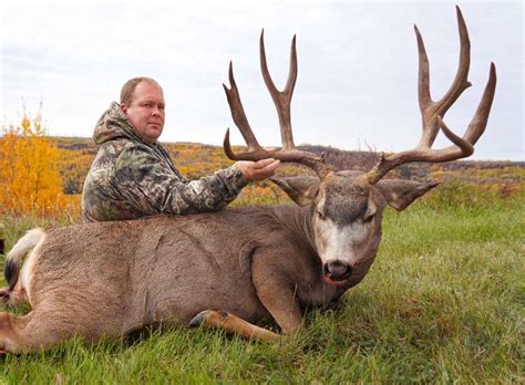 200 Inch Mule Deer