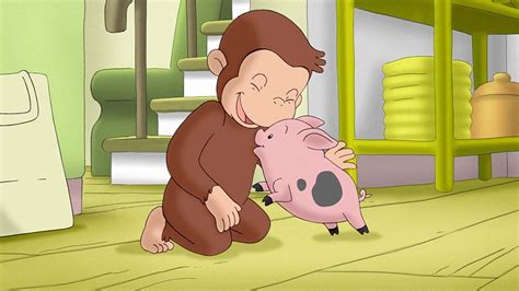 Desenho Do Porquinho George - O porquinho mais fofinho 🐵 George, o Curioso 🐵 Desenhos Animados - YouTube