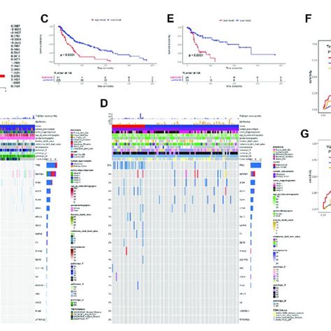 Construction And Prognostic Analysis Of The Ferroptosis Related Genetic