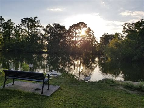 Fun Summer Break Activities Around New Orleans — LOOP NOLA