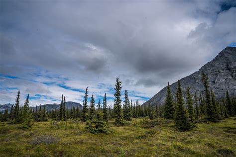 Conservation Rulemakings Could Reshape How We Preserve Public Lands