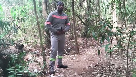 Vidéos porno gratuites Gay africain xHamster