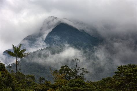 Galerias paisajes - Biodiversidad
