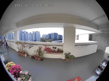 Man Takes Lingerie Outside Choa Chu Kang Flat But Returns It After Noticing Cctv Police