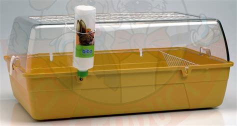 Как выбрать и обустроить клетку или домик для морской свинки