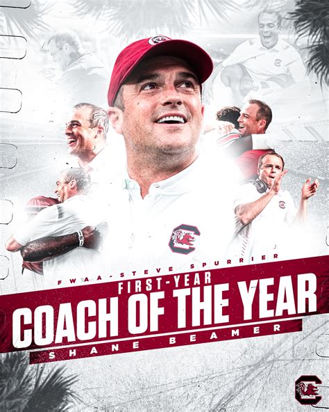 Gamecock Football on Twitter: "When it all comes together, it paints a