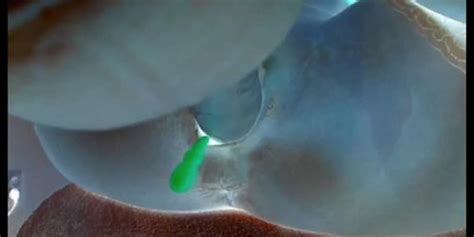 Negative TNAFlix Porn Videos