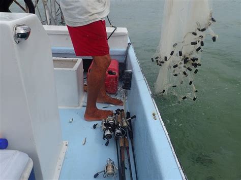 Belize Fishing Charters (San Pedro) - All You Need to Know Before You
