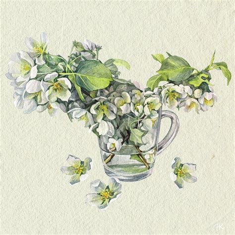 Иллюстрация Ветки яблони в стиле графика, книжная графика,