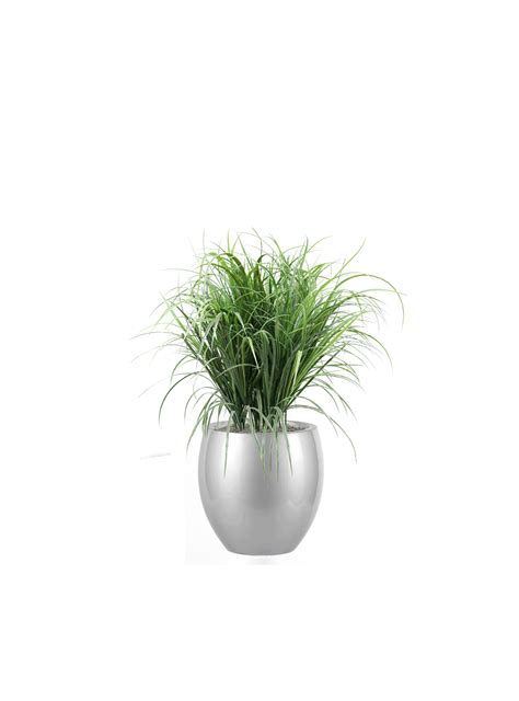 Molted Grass - Elements