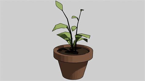 ArtStation - домашнее растение