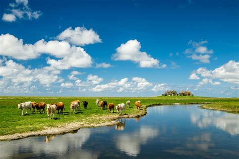 Nationalpark Schleswig Holsteinisches Wattenmeer Nationalpark Wattenmeer