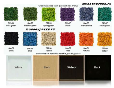 Mossexpress МОХ ДЛЯ ТВОРЧЕСКОГО ПОЛЕТА МЫСЛИ, ОПТОМ И В РОЗНИЦУ! По ...