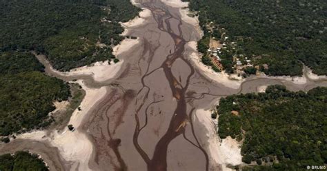 El Ni O Mudan As Clim Ticas E Desmatamento O Que Pode Estar Por Tr S