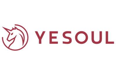 About Us | Yesoul Indonesia Official