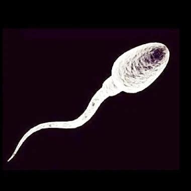 Retro Danish Climax Cunnilingus Blowjob Porn Feat Jannie Nielson Xhamster