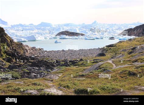 coastal scenery  icebergs greenland stock photo alamy